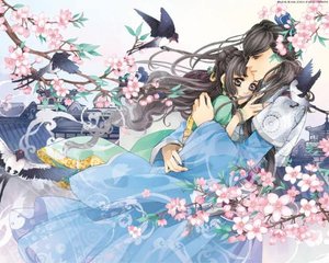 含羞草人口